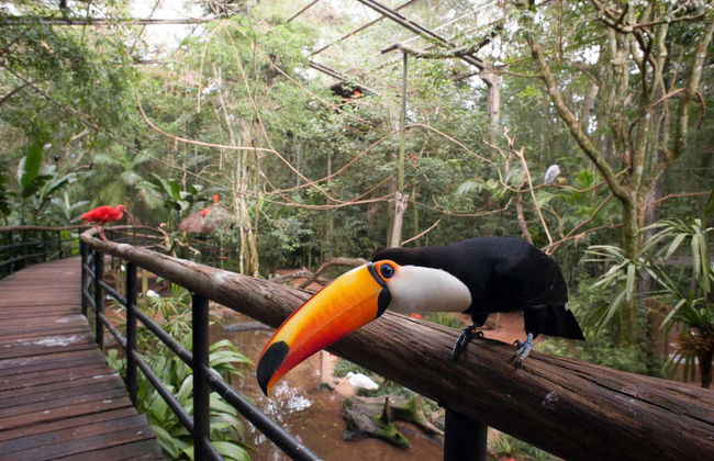 Ingresso do Parque das Aves - Foto 3